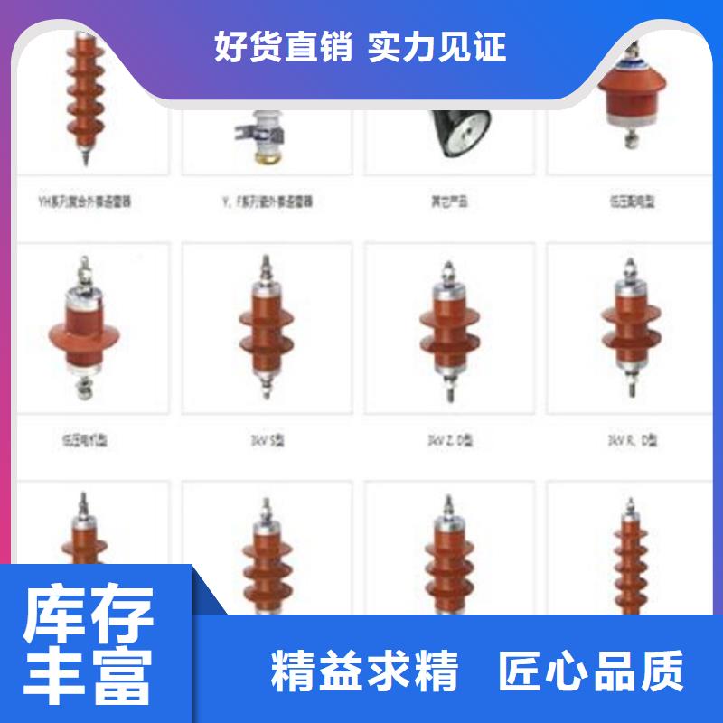 避雷器Y10W5-216/562【羿振電氣】
