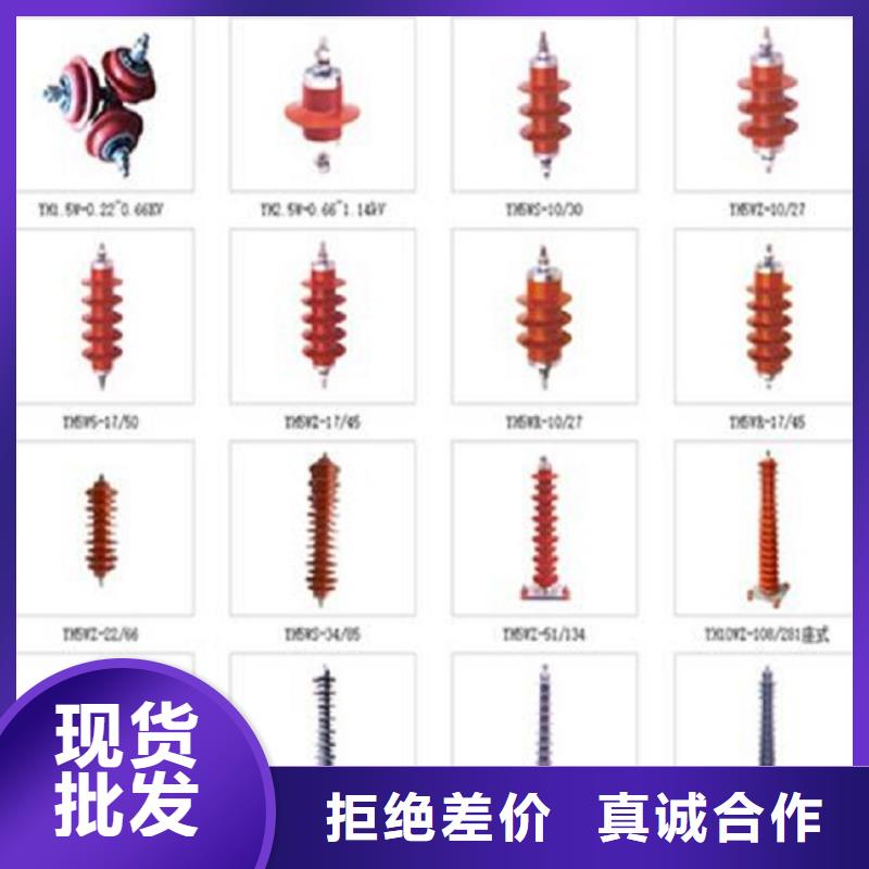 避雷器YH10CX-102/296J【羿振電氣】