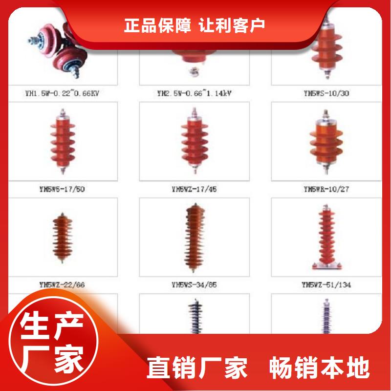 金屬氧化物避雷器Y10W-100/260