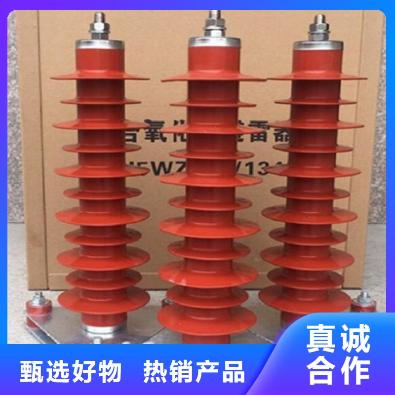【氧化鋅避雷器】避雷器Y5WZ-51/134GW