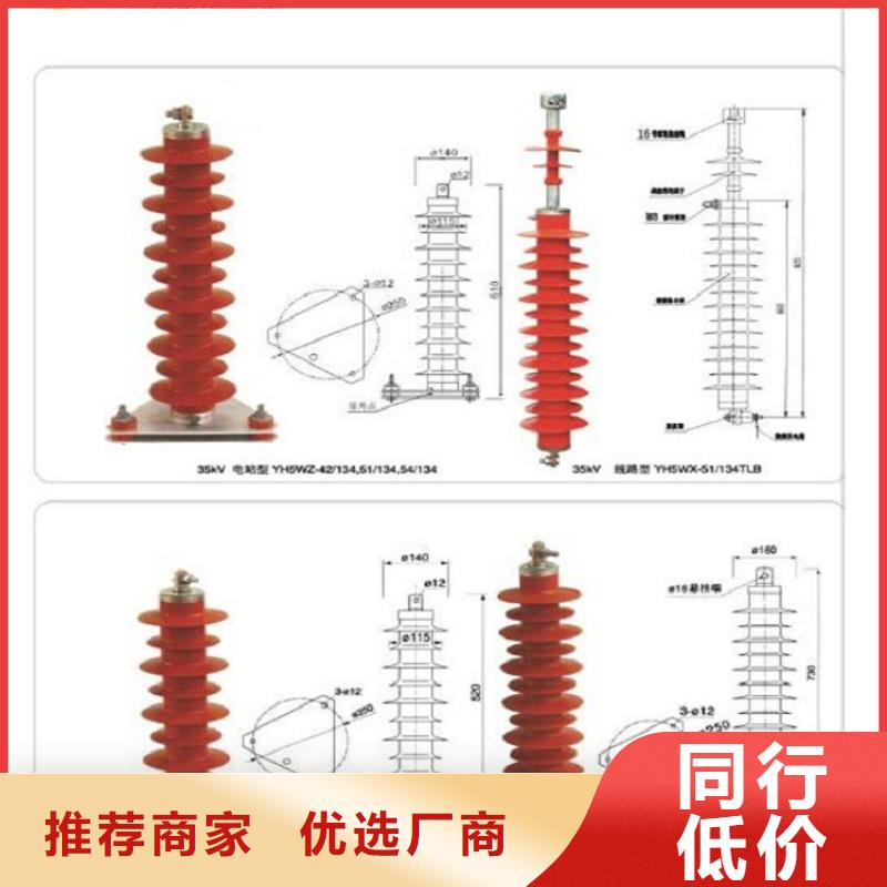 【避雷器】Y10W5-51/134