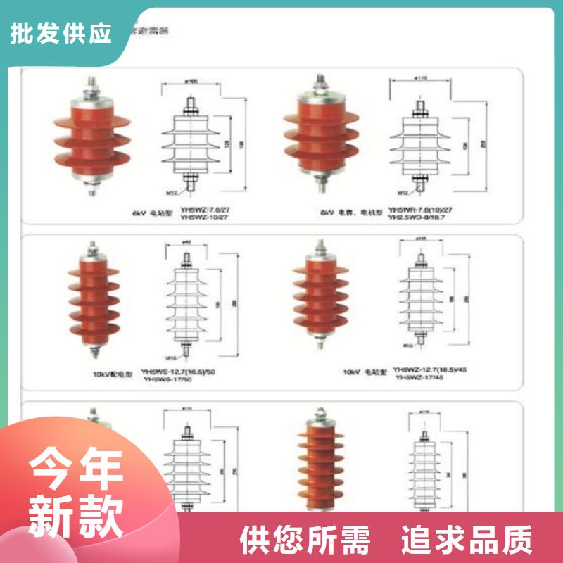 避雷器Y20W-444/1095【羿振電氣】