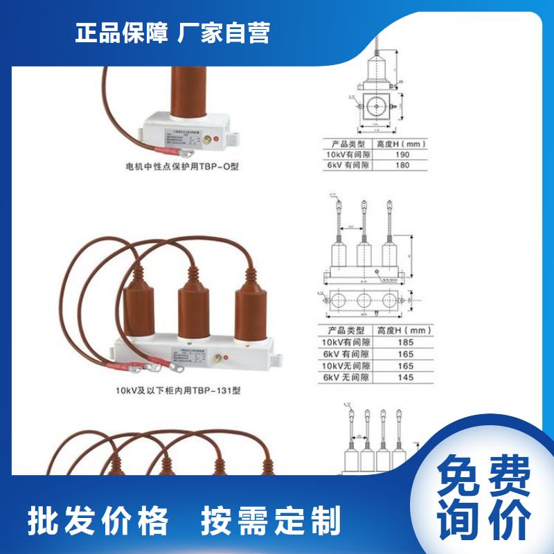 保护器(组合式避雷器)TBP-A-42/630W