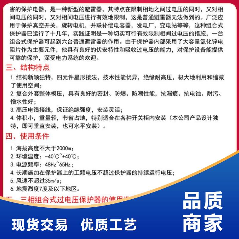 ＿過電壓保護器(組合式避雷器)BSTG-A-6.3-J