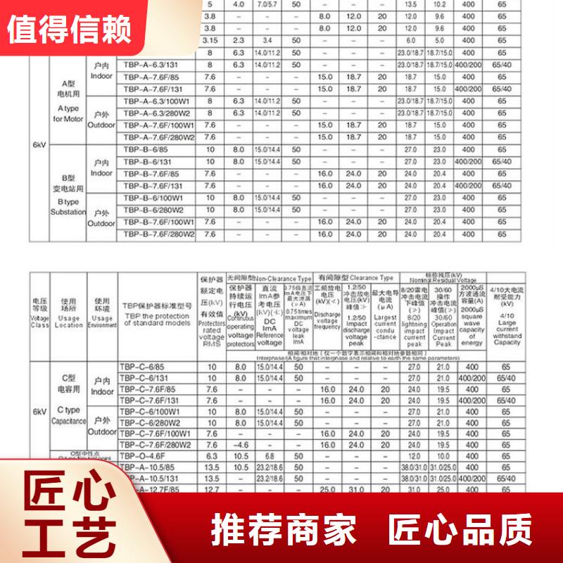 〖過電壓保護器〗TBP-C-10.5/131歡迎訂購