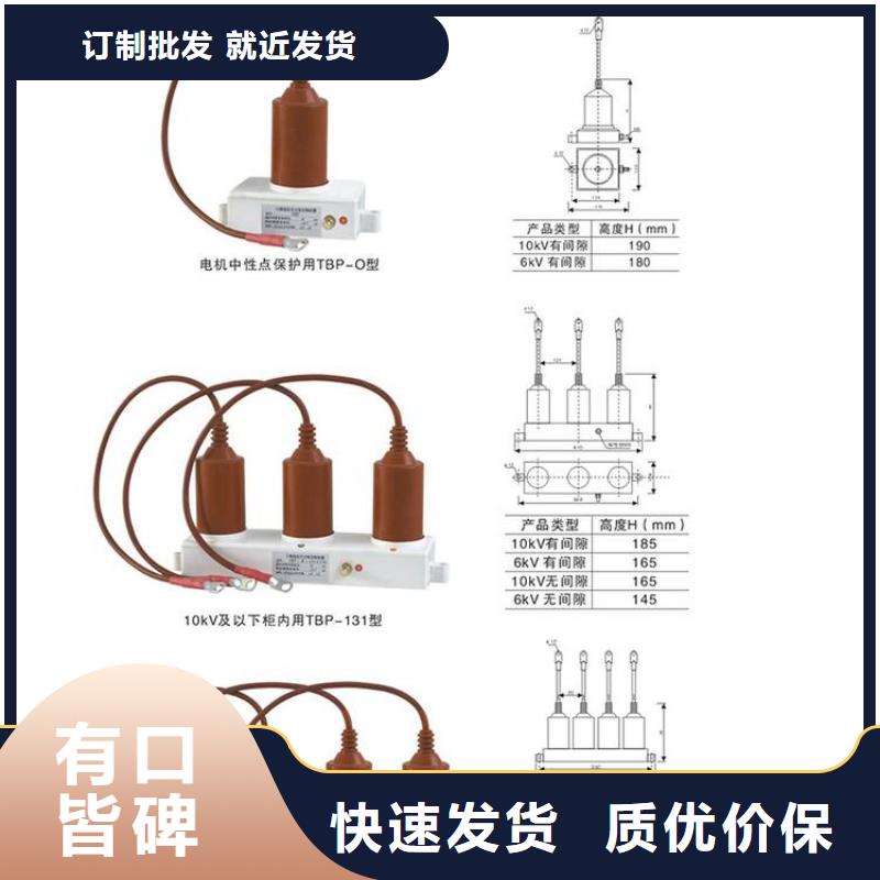 〖過電壓保護(hù)器〗TBP-B-35/310產(chǎn)品介紹