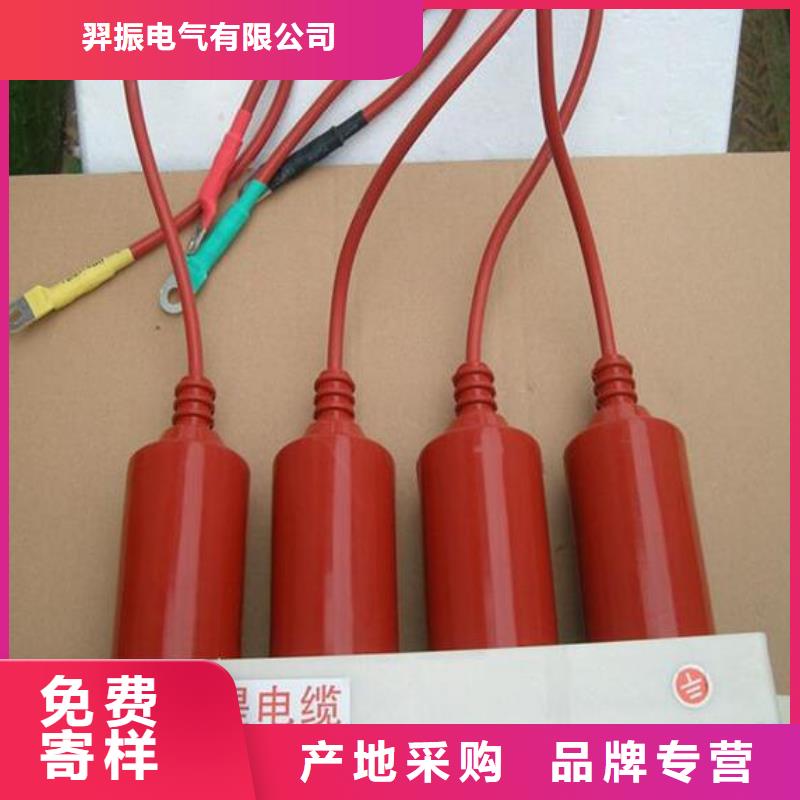 保護器(組合式避雷器)HTBP-C-7.6/131-J