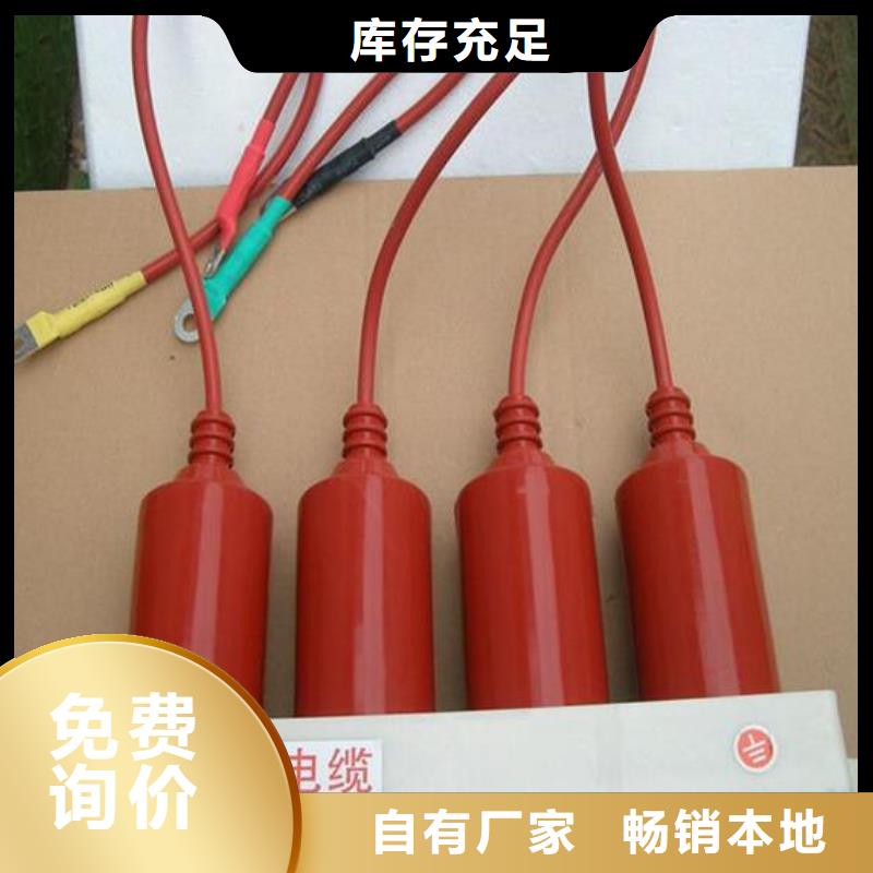 保護器(組合式避雷器)HTBP-C-7.6/131-J