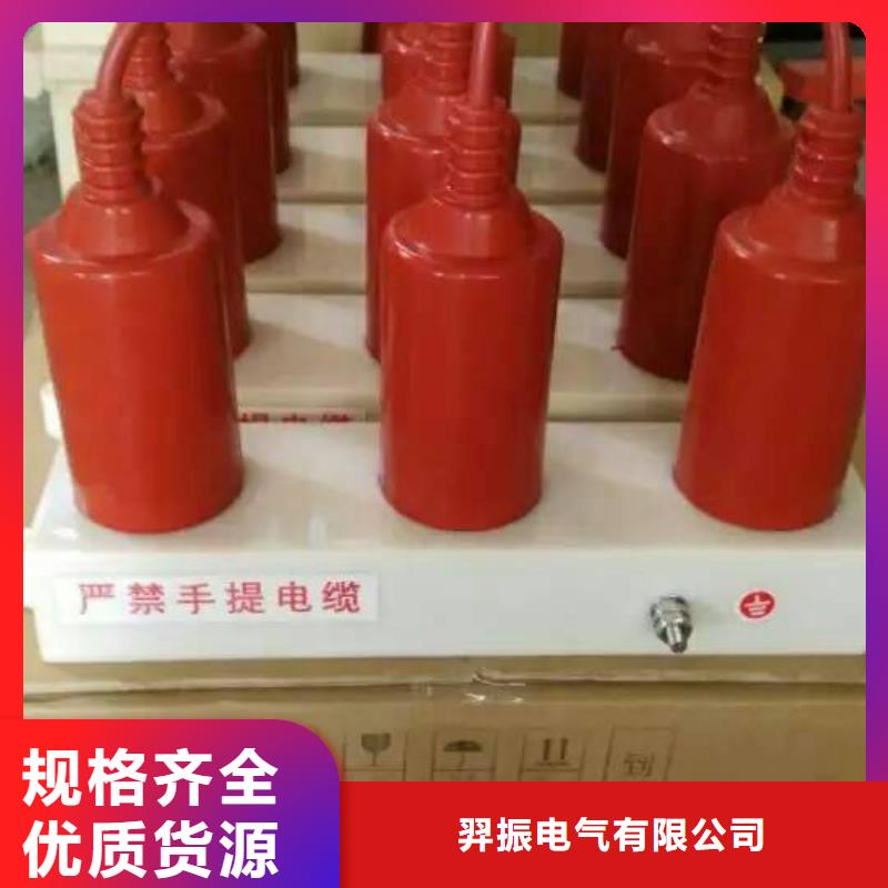 〖過電壓保護(hù)器〗TBP-B-35/310產(chǎn)品介紹