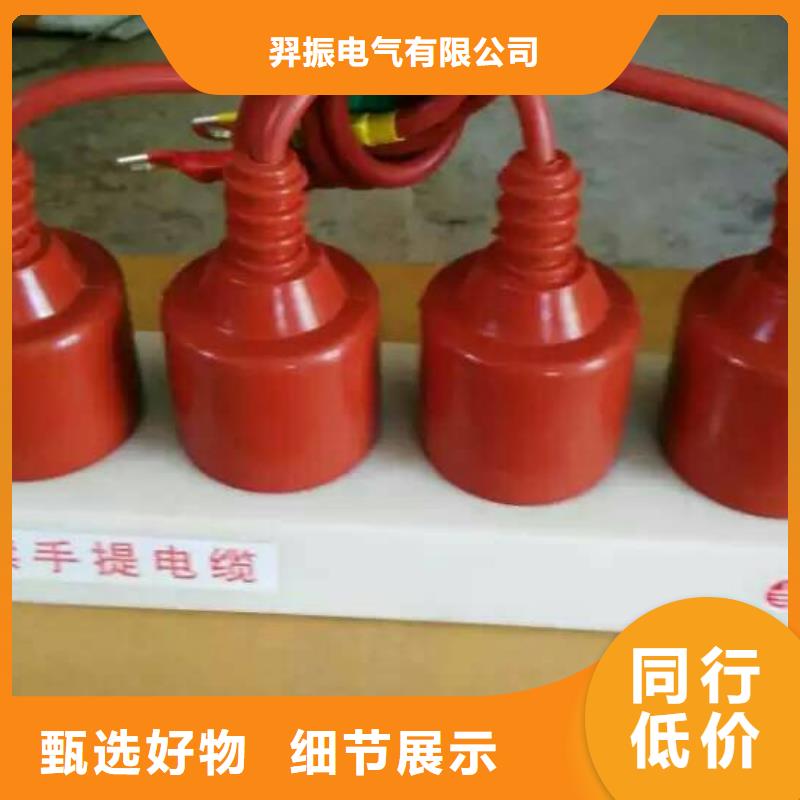 〖過電壓保護器〗TBP-Y-B/6-T組合過電壓保護器工廠直銷