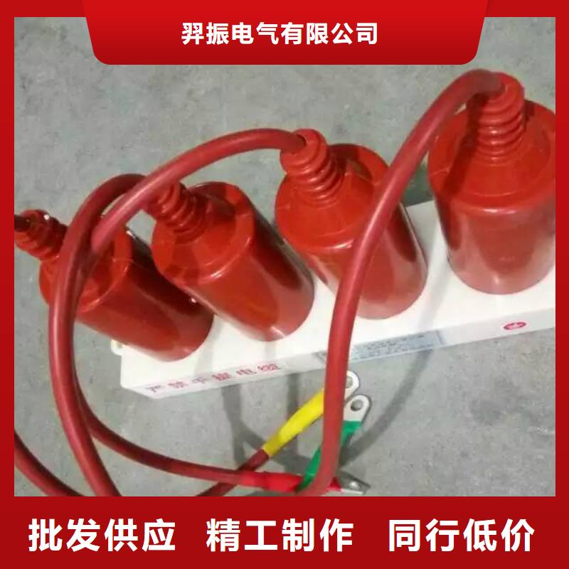 保護器(組合式避雷器)HTBP-C-7.6/131-J