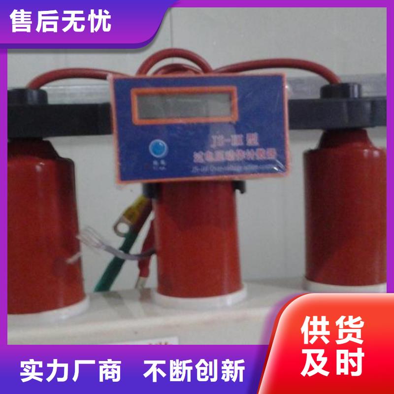 保护器(组合式避雷器)TBP-A-42/630W