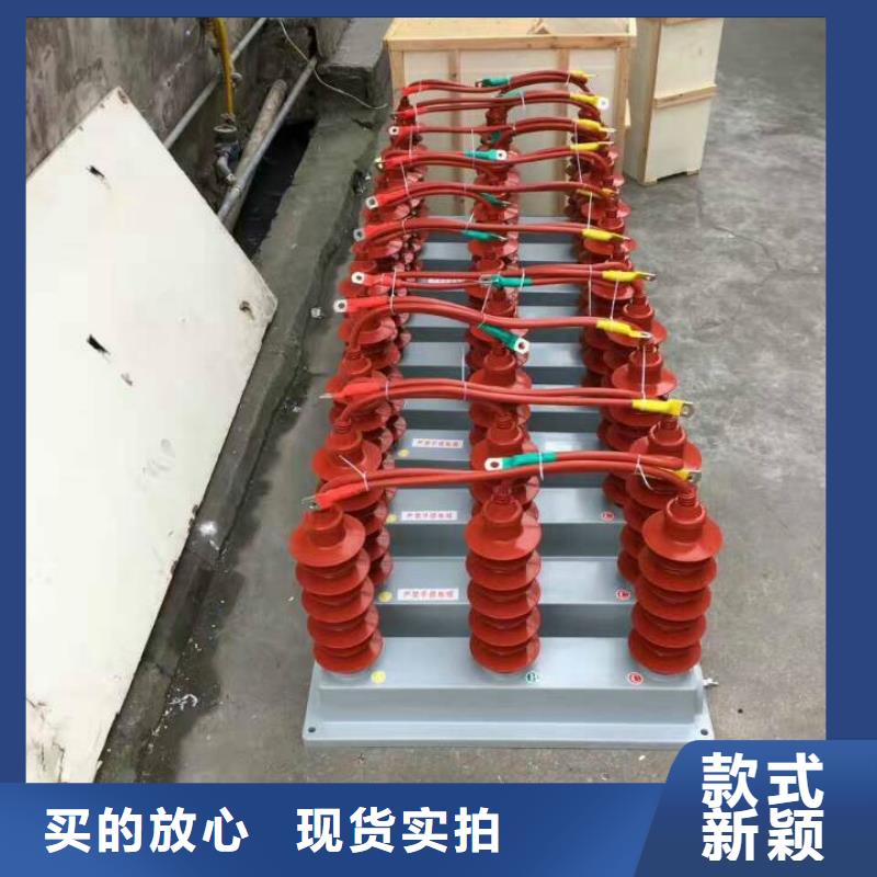 過(guò)電壓保護(hù)器(組合式避雷器)TBP-A-42F/200