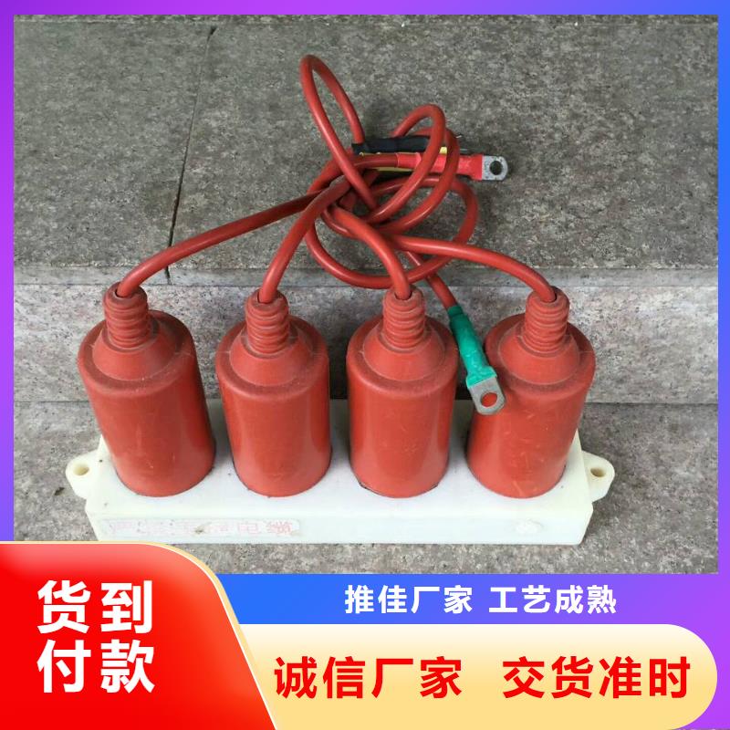 保護(hù)器(組合式避雷器)SCGB-A-7.6-F