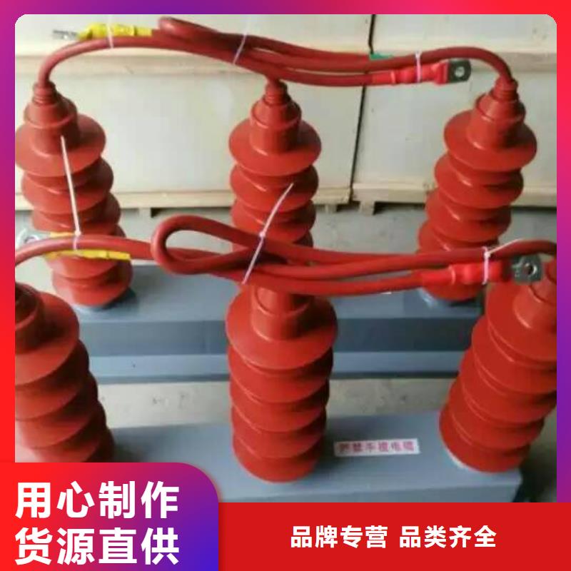 保护器(组合式避雷器)TBP-A-42/630W