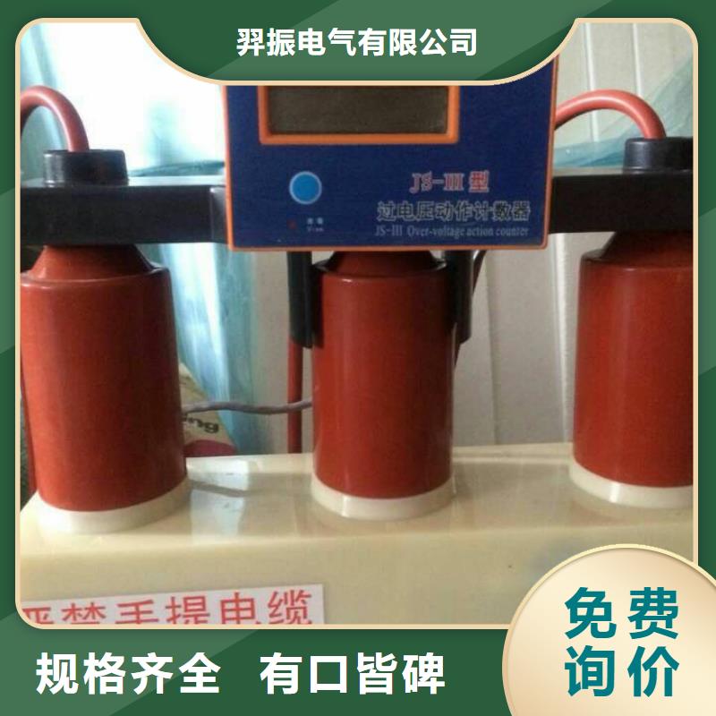 【羿振電力牌】過電壓保護器TBP-B-6.3/131-J