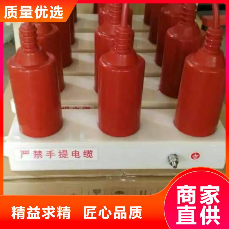 〖過電壓保護器〗TBP-Y-B/6-T組合過電壓保護器工廠直銷