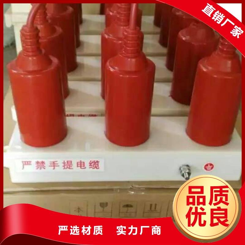 【羿振電力牌】過(guò)電壓保護(hù)器TBP-C-6.3/131