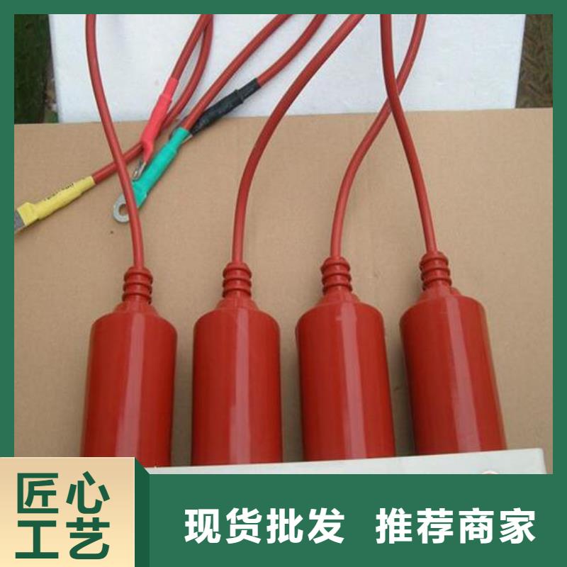 保護器(組合式避雷器)HTBP-C-7.6/131-J