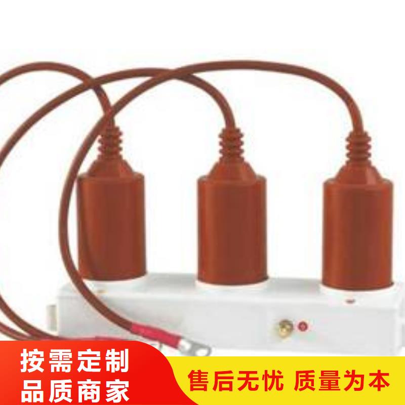過(guò)電壓保護(hù)器(組合式避雷器)TBP-A-42F/200