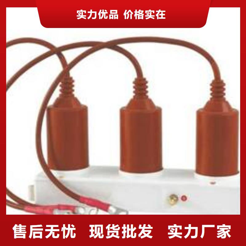 RY-GDY1-C/6組合過電壓保護器