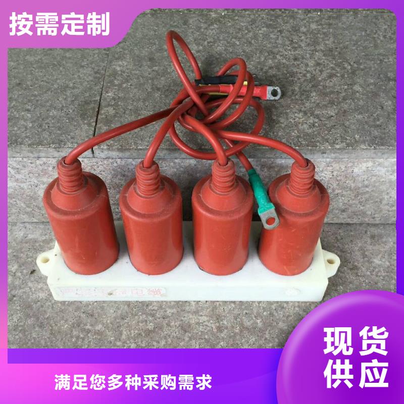 〖過電壓保護器〗TBP-Y-B/6-T組合過電壓保護器工廠直銷