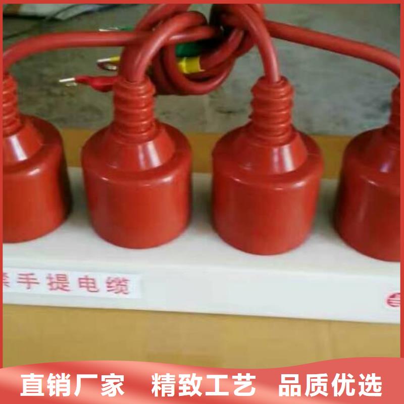 RTB-R-12.7KV/85-N-過電壓保護(hù)器