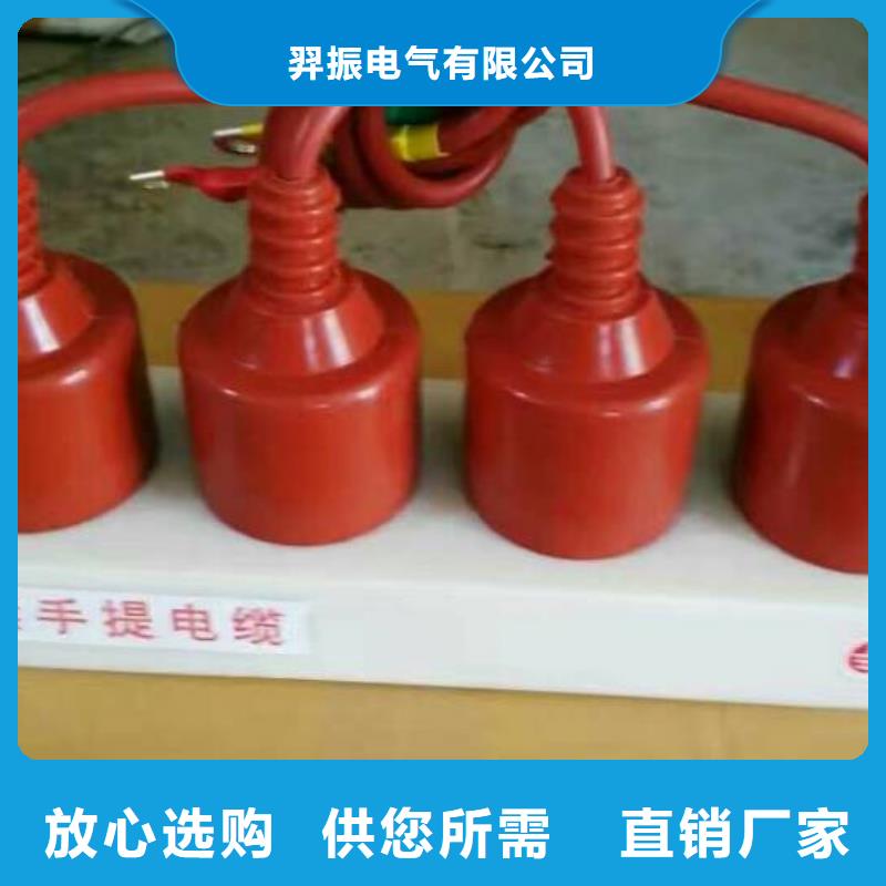 過電壓保護器(組合式避雷器)TBP-C-42/310