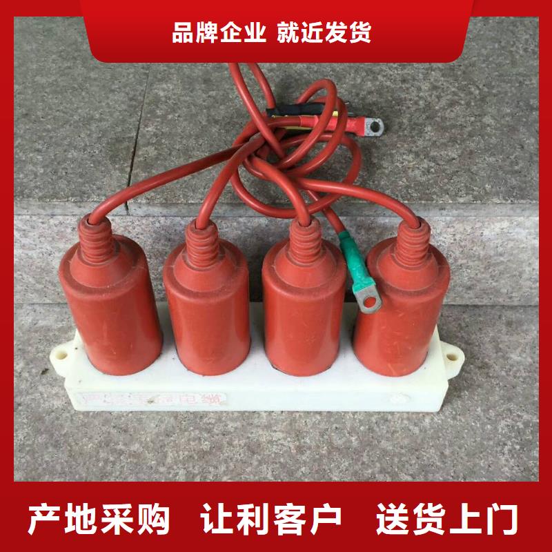 保護器(組合式避雷器)HTBP-C-7.6/131-J