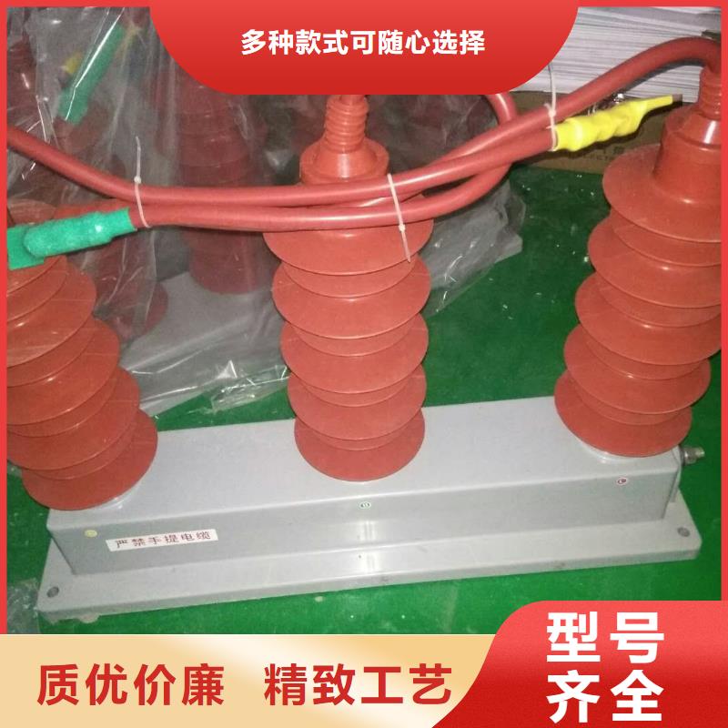 保护器(组合式避雷器)TBP-W-B/10-F组合过电压保护器