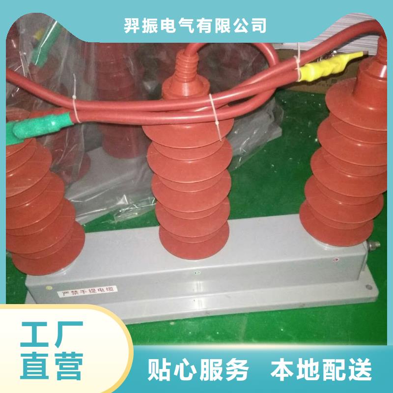 保護(hù)器(組合式避雷器)BSTG-A-6