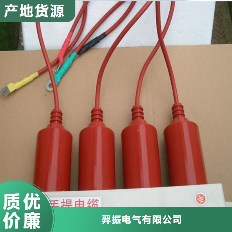 【羿振電力牌】過(guò)電壓保護(hù)器TBP-C-6.3/131