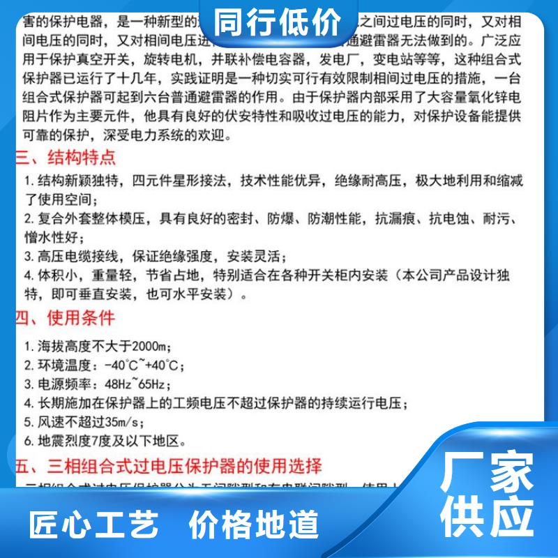 【羿振電力牌】過電壓保護器TBP-B-6.3/131-J