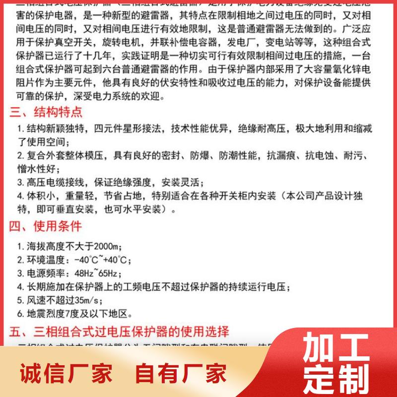 過電壓保護器(組合式避雷器)TBP-C-42/310