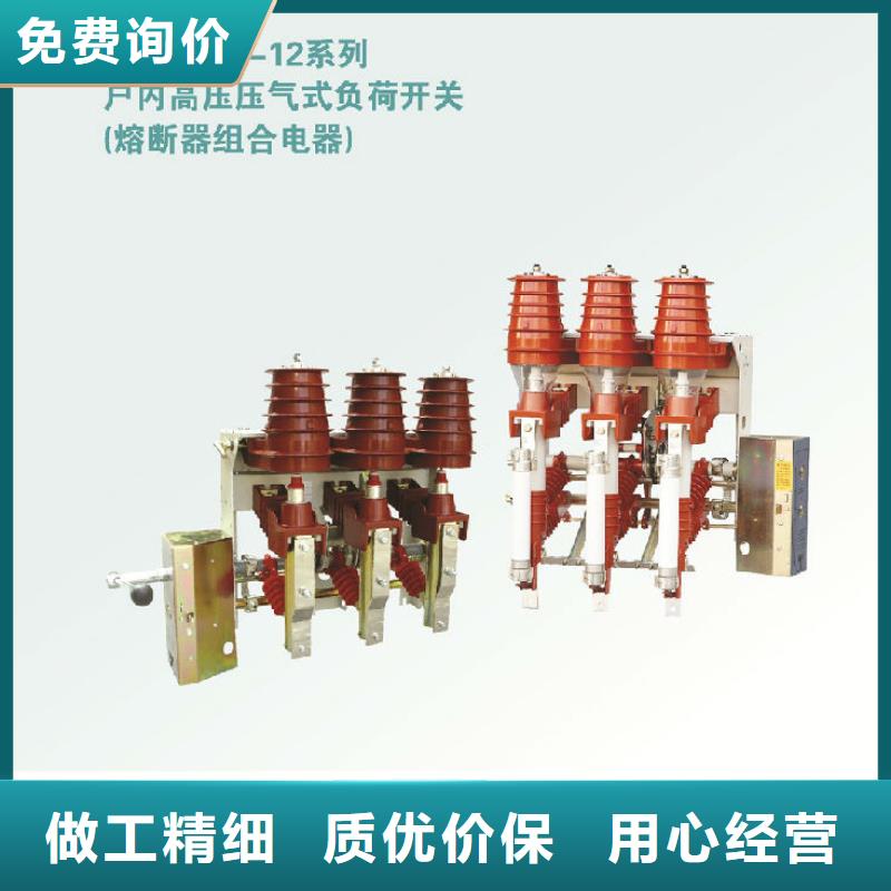 FZN25A-10RD/200-31.5高壓負荷開關_
