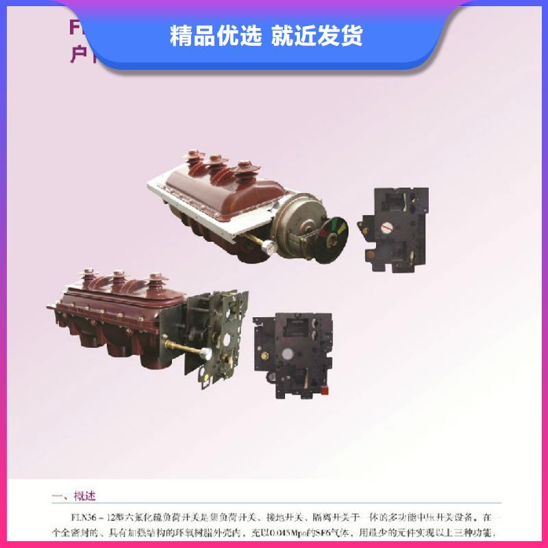 戶內(nèi)高壓負(fù)荷開關(guān)FN5-10/400A