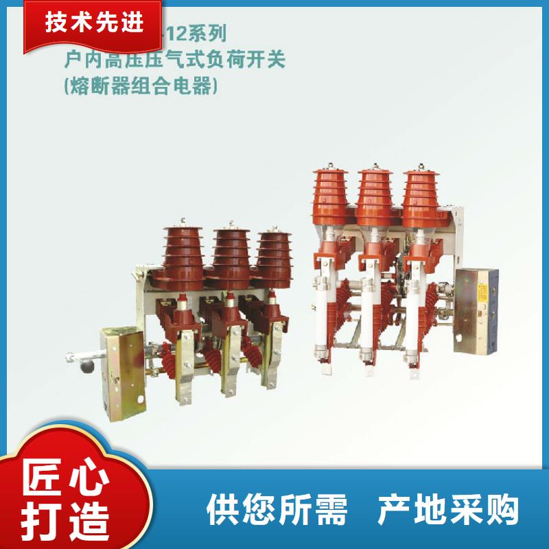 戶內(nèi)高壓負(fù)荷開關(guān)FN5-10/400A