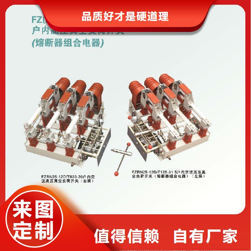 高壓負荷開關FZRN40-10D/T125-31.5-上海羿振電力設備有限公司
