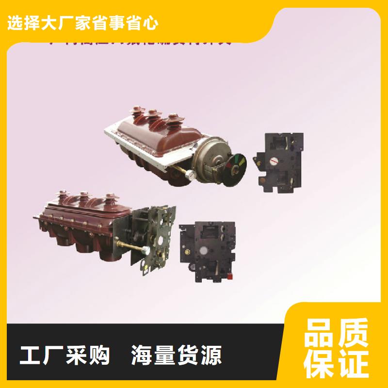 _羿振電氣壓氣式負荷開關FN12-10RD/125-31.5