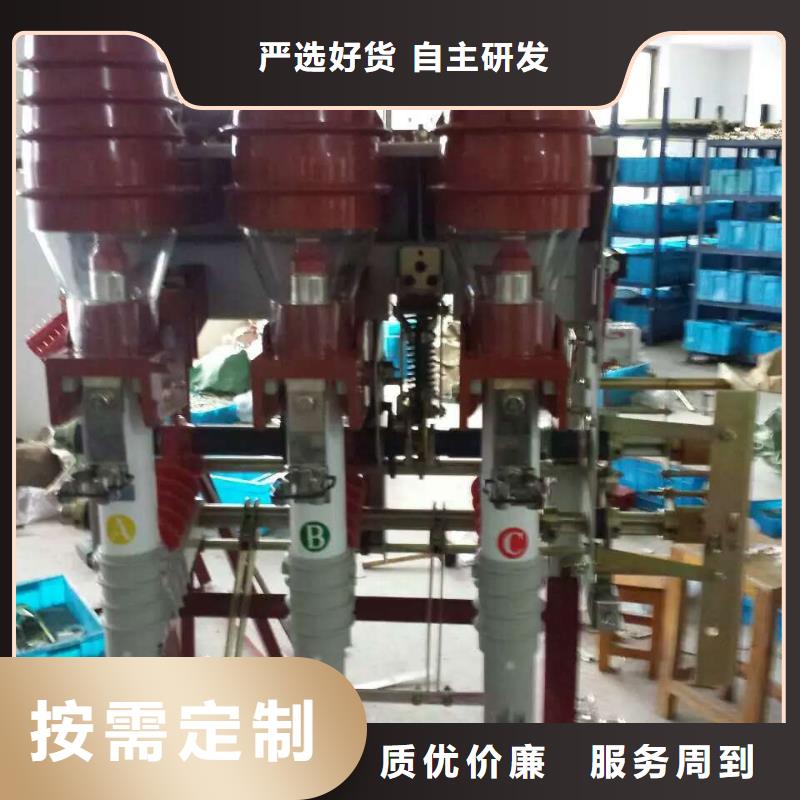 高壓負(fù)荷開(kāi)關(guān)FZRN40-10【上海羿振電力設(shè)備有限公司】