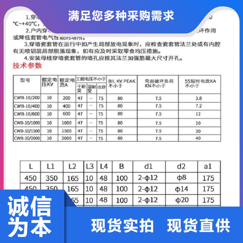 【羿振電氣】AC10KV交流穿墻套管.陶瓷2500A無CT銅