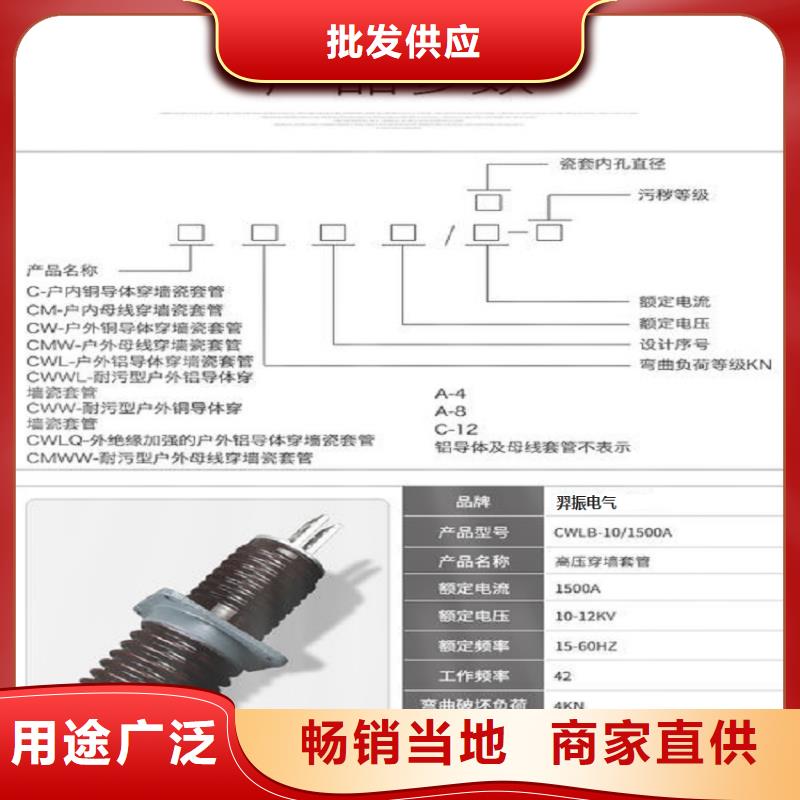 穿墻套管/CMWW-10/1600-4浙江羿振電氣有限公司