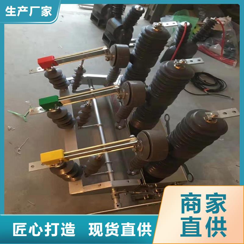 真空斷路器ZW32-12G/T630-20
