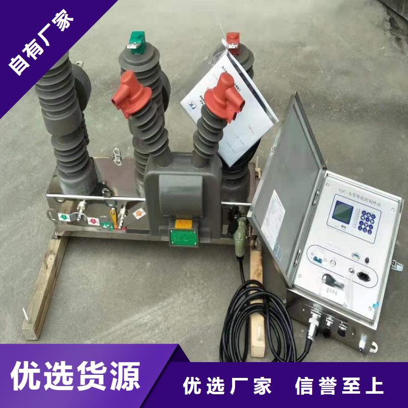 真空斷路器ZW32-12G/T630-20