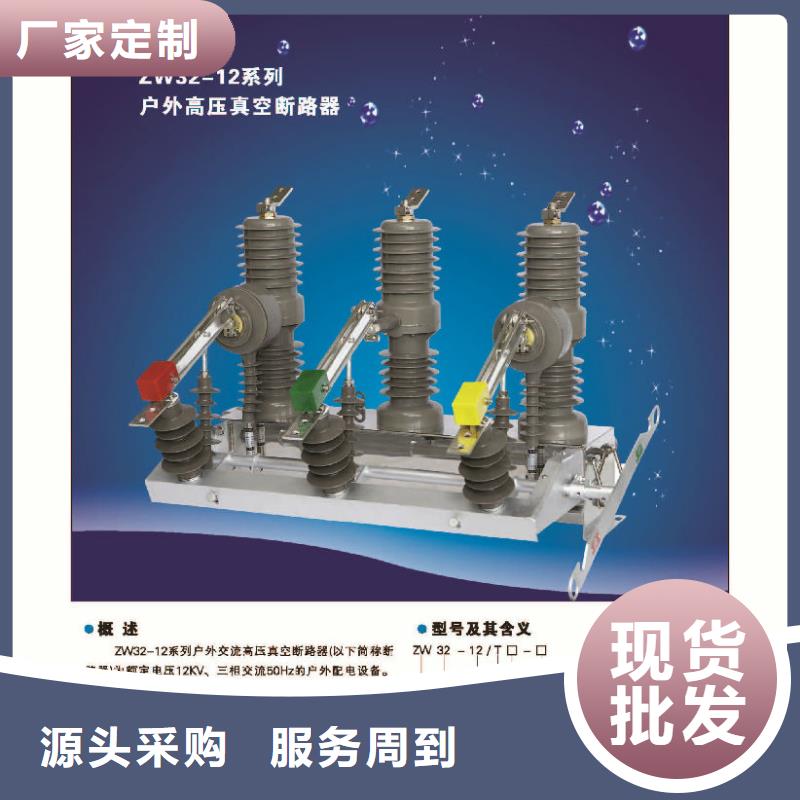 永磁斷路器ZW32-12/M630-20
