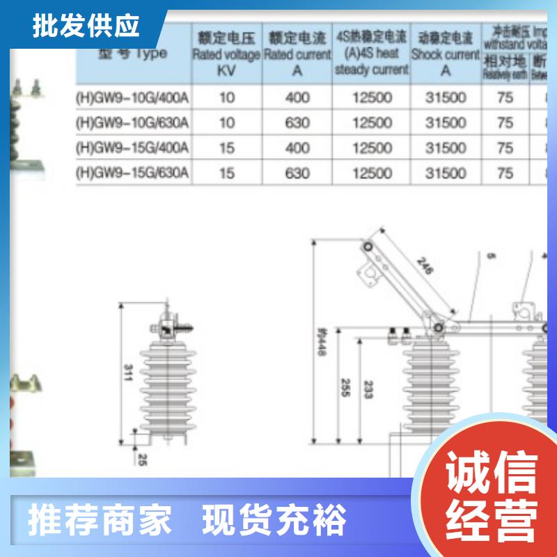 【羿振電氣】高壓隔離開關(guān)*GW9-15W/630A工廠直銷