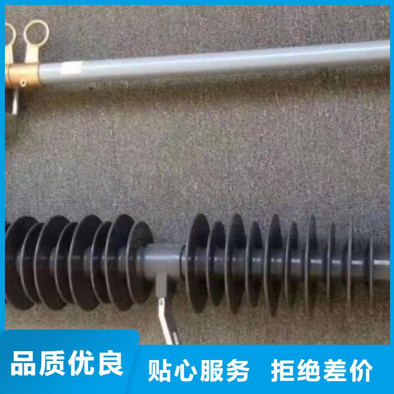 【跌落式熔斷器】HRW12-10/200A