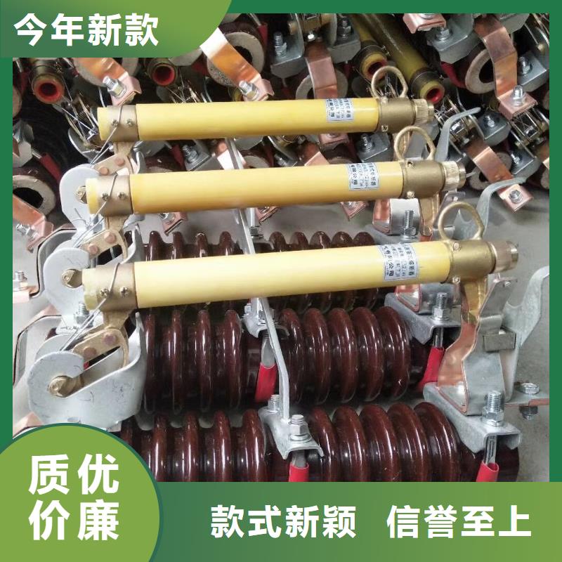 【跌落式熔斷器】PRW12-27/200A