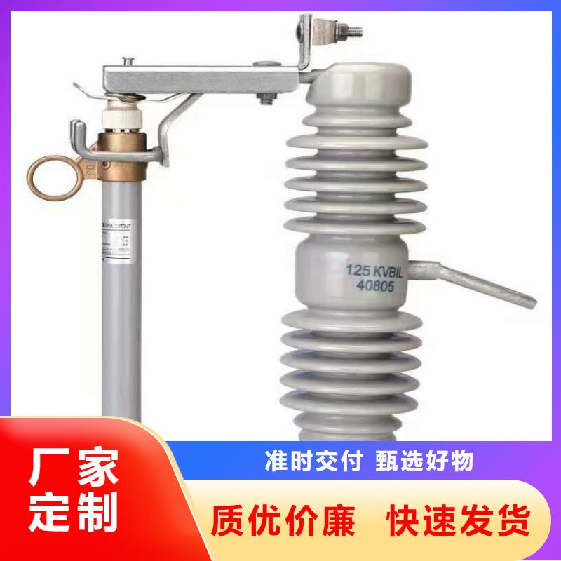 熔斷器 高壓真空斷路器廠家精選