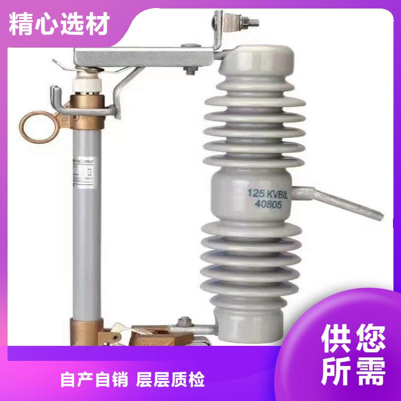 【高壓熔斷器】RW12-10/100A
